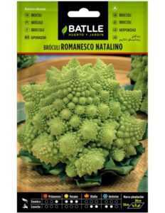 Penerangan tentang brokoli Macho F1 -