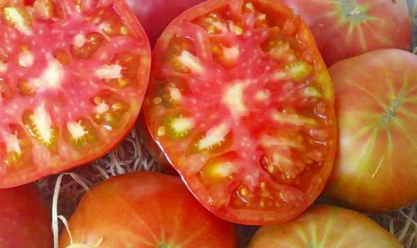 Penerangan buah tin tomato merah jambu dan merah -