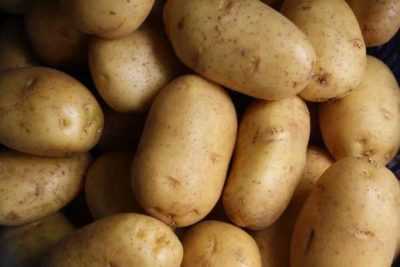 Penerangan mengenai Potato Lad –