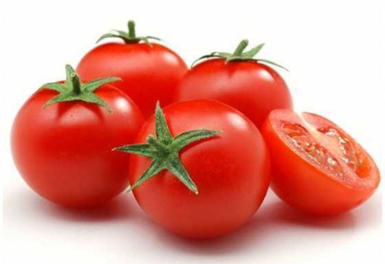 Penerangan tomato klasik -