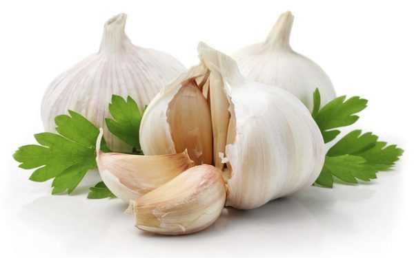 Penggunaan kulit bawang putih dalam perubatan dan berkebun. –