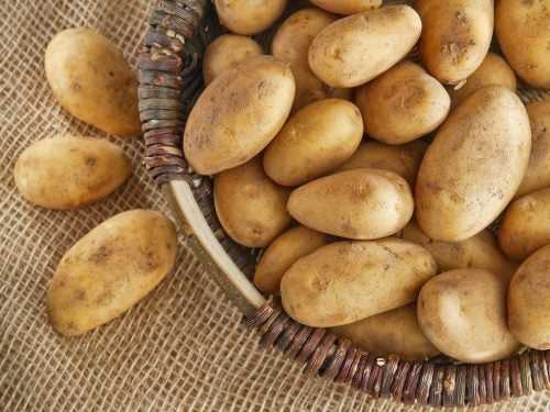 Ciri-ciri berguna dan berbahaya kentang mentah -