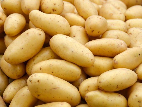 Menggunakan pembalut untuk kentang –