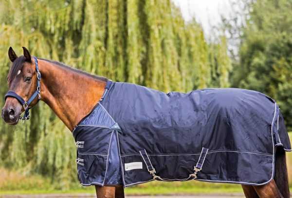 Apakah jenis selimut kuda yang ada dan mengapa ia diperlukan? -