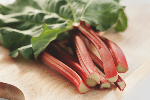 Rhubarb, Kalori, faedah dan bahaya, Sifat berguna –