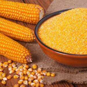 Bubur jagung, Kalori, faedah dan bahaya, Sifat berguna –