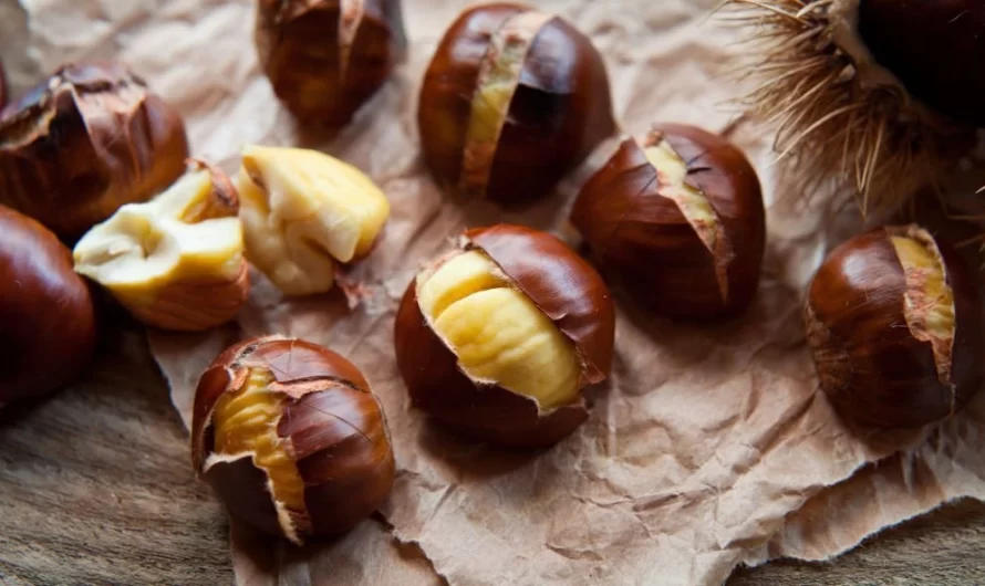 Chestnut, Kalori, faedah dan kemudaratan, Sifat berguna –