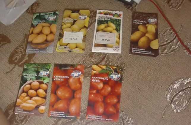 Hoe aardappelen hydrocultuur thuis te kweken. –