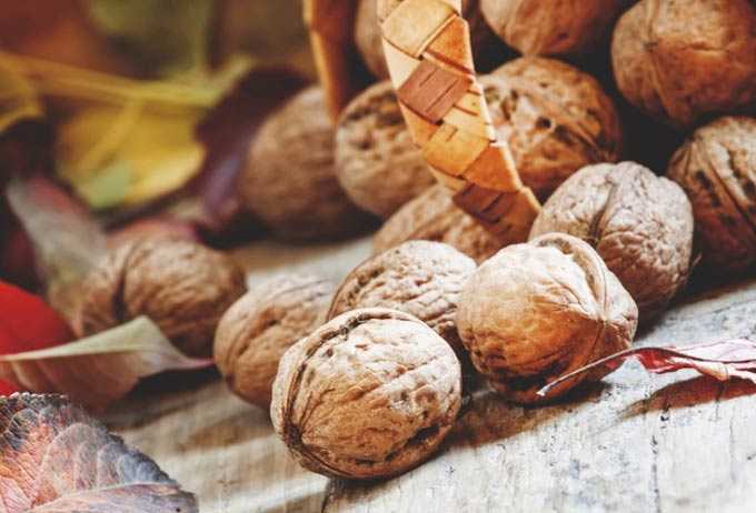 Boekweit, walnoten en honing voor schildklierbehandeling -