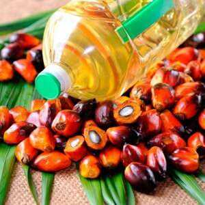 Palmolie, Calorieën, voordelen en schade, Voordelen -