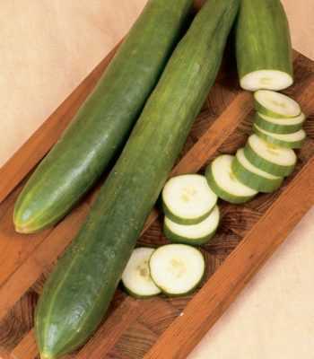 Kenmerken van de variëteit aan komkommers Vrienden-vrienden -