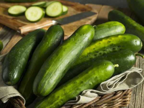 Hoe verse komkommers te bewaren -