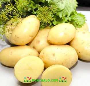 Beschrijving van aardappel Lady Claire -