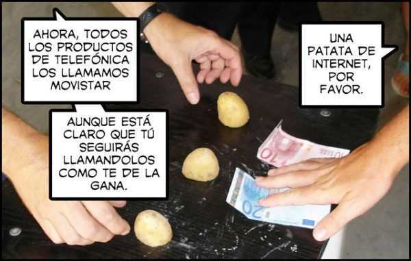 Beschrijving van de aardappel Timo -