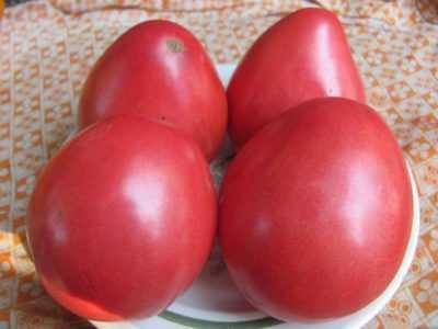 Beschrijving van Nastenka-tomaat -