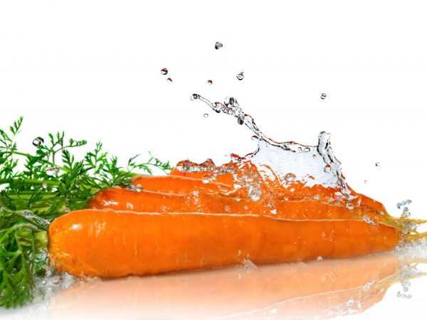 Kenmerken van het water geven van wortels na ontkieming -