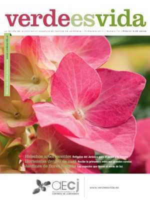 Preventie van het verschijnen van lege bloemen in courgette -