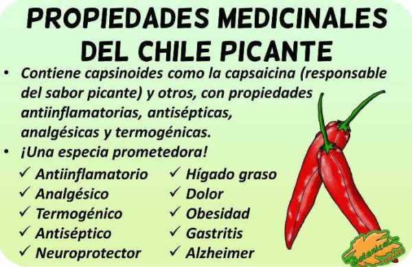 Chili eigenschappen -