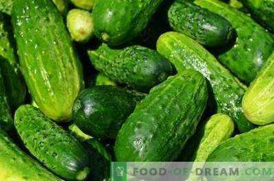 Nuttige en schadelijke eigenschappen van komkommers -