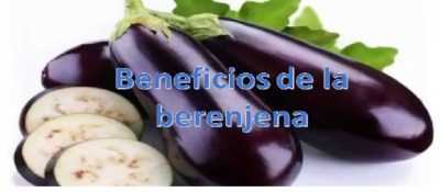 Nuttige en schadelijke eigenschappen van aubergine voor de gezondheid –