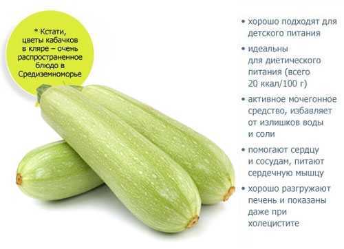 Kalorisk zucchini og dens sammensetning -