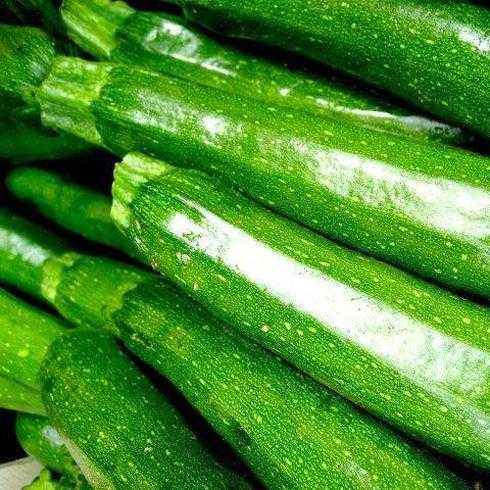 Hva er forskjellen mellom gresskar og zucchini? –