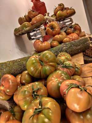 Det perfekte nabolaget for tomater. -