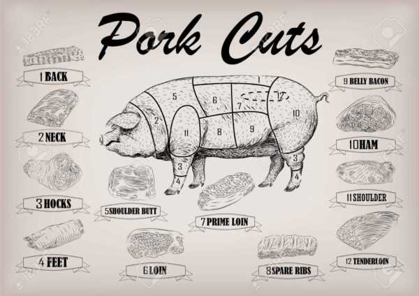Skjæringsplan for gris eller svinekjøtt -