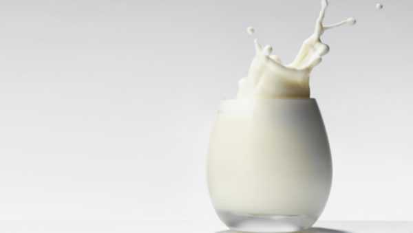 Fordelene og skadene med sauemelk -