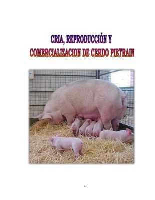 Grunnleggende om svineoppdrett for nybegynnere –