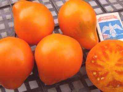 Charakterystyczna Japońska Trufla Pomidorowa