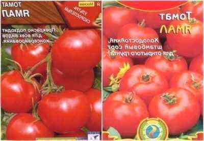 Charakterystyka pomidora jamalskiego