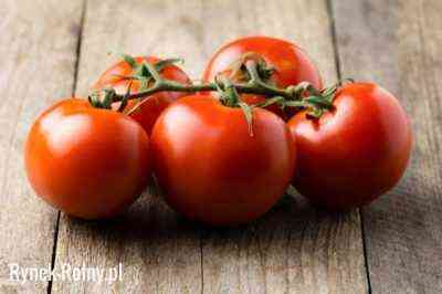 Charakterystyka pomidorów wahadłowych