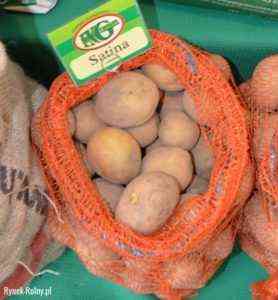 Charakterystyka ziemniaka chabrowego