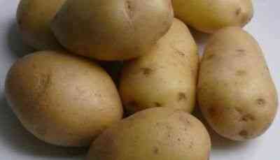 Charakterystyka ziemniaków Alvar