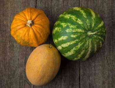 Ciekawe fakty na temat Melona Pumpkin