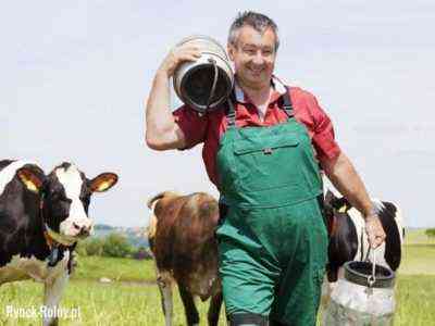 Ile mleka może dać krowa dziennie, co wpływa na wydajność mleka?