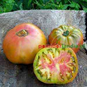 Opis pomidora Czarny ananas