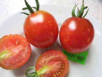 Opis pomidora De Barao Red