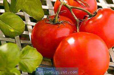 Opis pomidorów Gina TST
