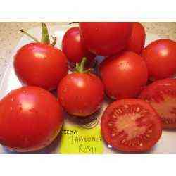 Opis pomidorów Yablonka Rosja