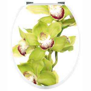 Opis zielonej orchidei