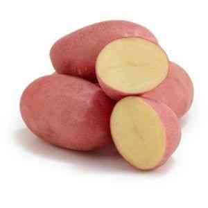 Opis ziemniaka Kumach