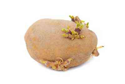 Przydatne i szkodliwe właściwości surowych ziemniaków