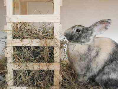 Urządzenie sennika dla królików