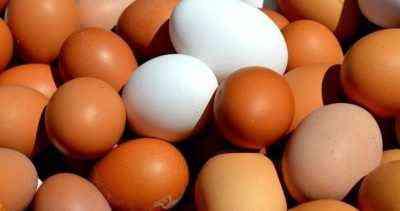 Zasady i zalecenia dotyczące jajecznych jaj kaczych w dzień