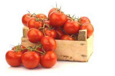Zasady karmienia mocznika pomidorowego