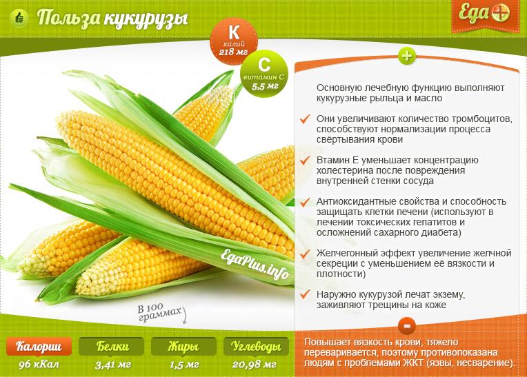 Przydatne właściwości kukurydzy