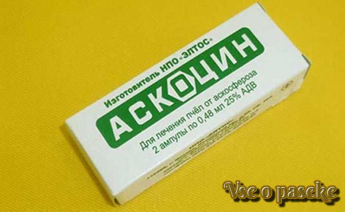 askocyna