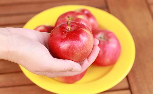 Chompu (różowe jabłko), Kalorie, korzyści i szkody, Korzyści